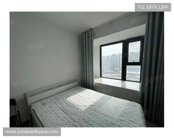 亚星登录官网登录：常见问题解决方案及账号安全保障全攻略